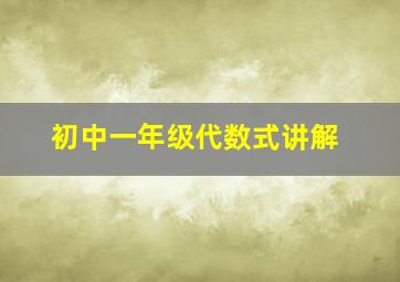 初中一年级代数式讲解