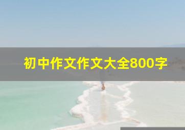 初中作文作文大全800字