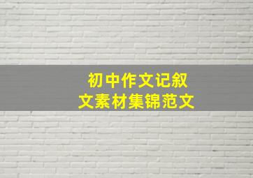 初中作文记叙文素材集锦范文