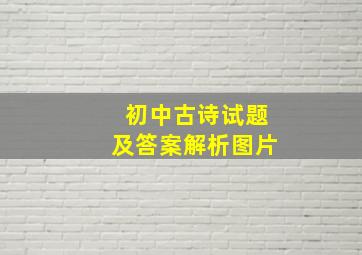 初中古诗试题及答案解析图片