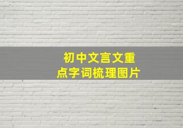 初中文言文重点字词梳理图片