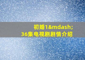 初婚1—36集电视剧剧情介绍