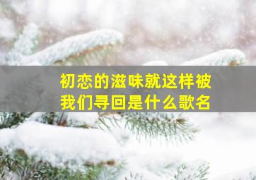 初恋的滋味就这样被我们寻回是什么歌名