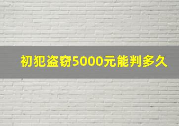 初犯盗窃5000元能判多久