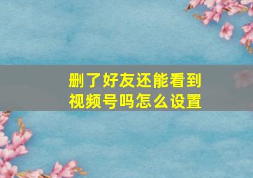 删了好友还能看到视频号吗怎么设置