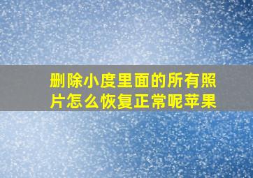 删除小度里面的所有照片怎么恢复正常呢苹果