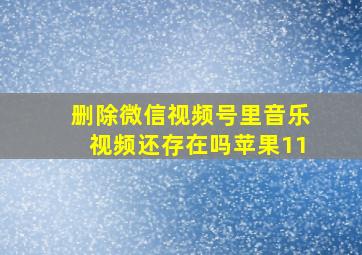 删除微信视频号里音乐视频还存在吗苹果11