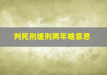 判死刑缓刑两年啥意思