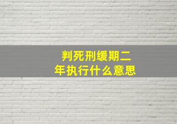 判死刑缓期二年执行什么意思