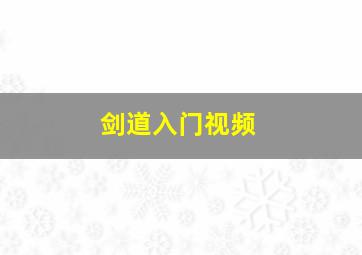 剑道入门视频