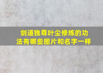 剑道独尊叶尘修炼的功法有哪些图片和名字一样