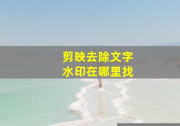 剪映去除文字水印在哪里找