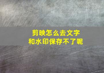 剪映怎么去文字和水印保存不了呢