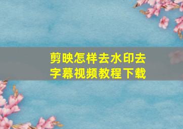 剪映怎样去水印去字幕视频教程下载