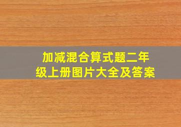 加减混合算式题二年级上册图片大全及答案