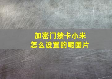 加密门禁卡小米怎么设置的呢图片