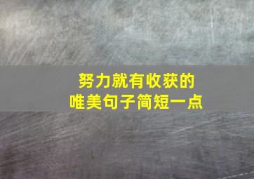 努力就有收获的唯美句子简短一点