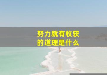 努力就有收获的道理是什么