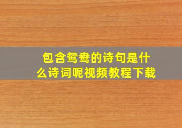 包含鸳鸯的诗句是什么诗词呢视频教程下载