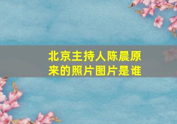 北京主持人陈晨原来的照片图片是谁