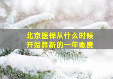 北京医保从什么时候开始算新的一年缴费