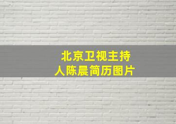 北京卫视主持人陈晨简历图片