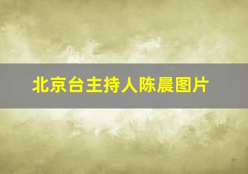 北京台主持人陈晨图片