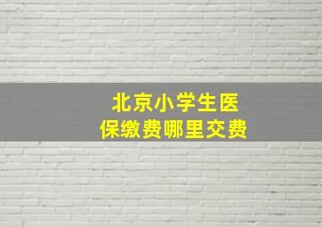 北京小学生医保缴费哪里交费