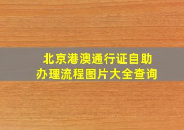 北京港澳通行证自助办理流程图片大全查询