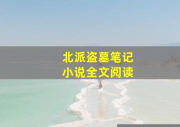 北派盗墓笔记小说全文阅读