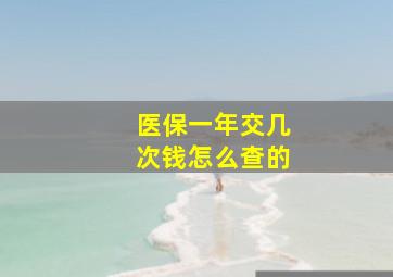 医保一年交几次钱怎么查的