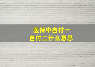 医保中自付一自付二什么意思