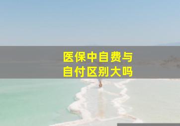 医保中自费与自付区别大吗