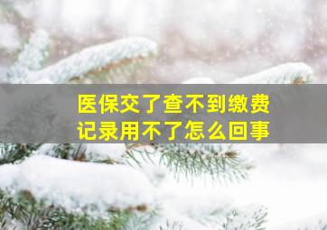 医保交了查不到缴费记录用不了怎么回事