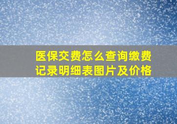 医保交费怎么查询缴费记录明细表图片及价格