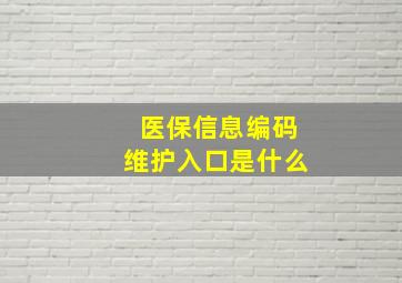 医保信息编码维护入口是什么