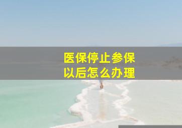 医保停止参保以后怎么办理