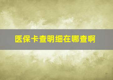 医保卡查明细在哪查啊