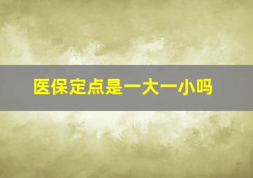 医保定点是一大一小吗