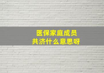 医保家庭成员共济什么意思呀