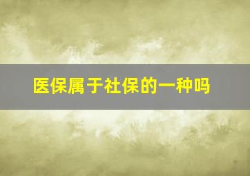 医保属于社保的一种吗