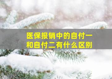 医保报销中的自付一和自付二有什么区别