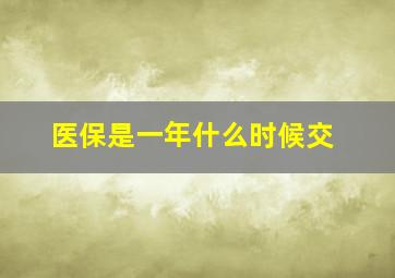 医保是一年什么时候交