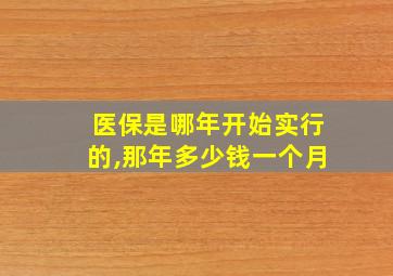 医保是哪年开始实行的,那年多少钱一个月