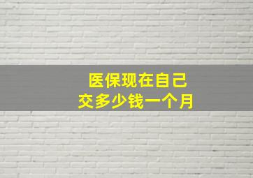 医保现在自己交多少钱一个月