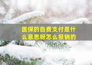 医保的自费支付是什么意思呀怎么报销的