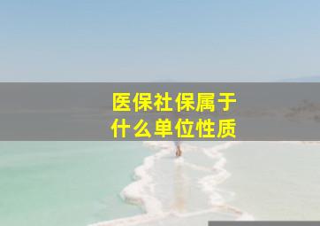 医保社保属于什么单位性质