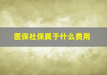 医保社保属于什么费用