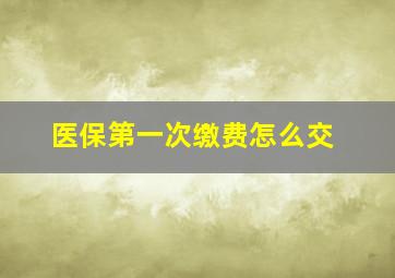 医保第一次缴费怎么交