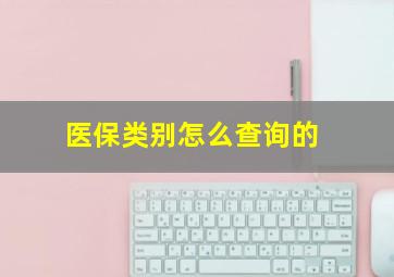 医保类别怎么查询的